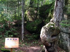 -汤旺河林海奇石景区