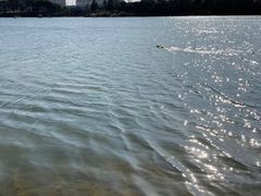 -美兰湖景区