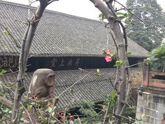 -峨眉山报国寺