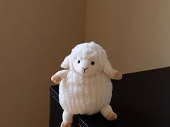 -夏朵餐厅(丁香店)