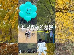 -森林公园(尖草坪区)