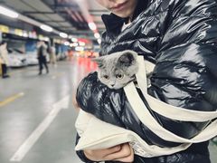 -1013 PET SHOP 宠物商店(近铁城市广场店)