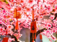 -江海肥牛(桃园南路店)