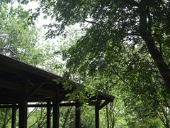 -盘龙城国家考古遗址公园