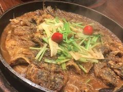 -老板恋上鱼(荣盛广场店)