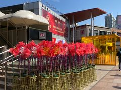 -证大大拇指广场(芳甸路店)