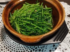 -熠盛粤味·顺德桑拿鸡(永康路店)