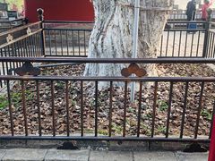 -北海公园-停车场