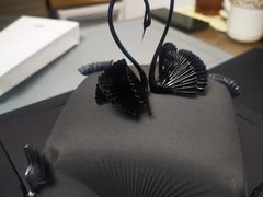 -BLACKSWAN黑天鹅(环球店)