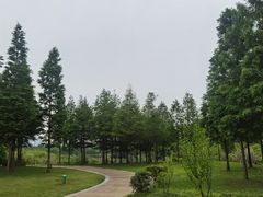 -眉山湿地公园(东坡区)