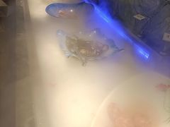 -海韵之星邮轮水会(明发商业广场店)