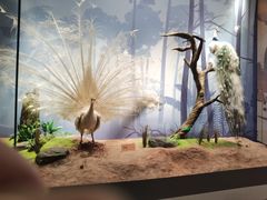 -陕西自然博物馆