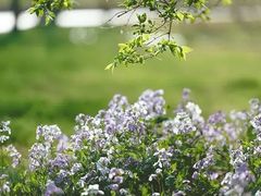 -白沙门生态公园