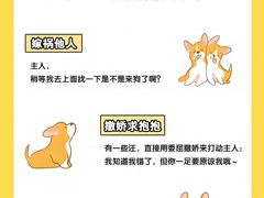 -北京佳信宠物医院