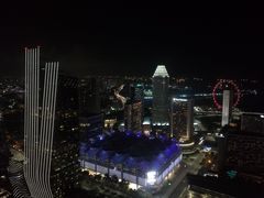 -新加坡瑞士史丹福酒店