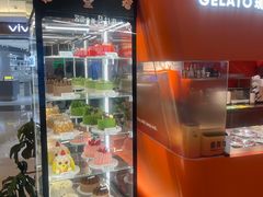 -野人先生现做冰淇淋(北京王府井东方新天地店)