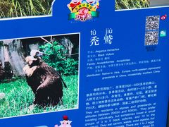 -无锡动物园·太湖欢乐园