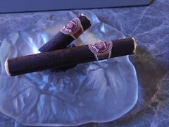 -Hi City·城市之巅