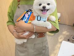 -BABIT巴比特宠物(MOMOPARK店)