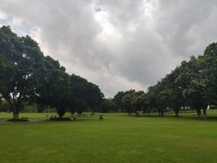 -东莞植物园