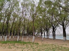 -丁香湖公园