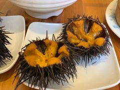 -海胆小馆(东北水饺·春柳店)