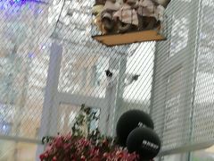 -维苏唯披萨(青云街店)