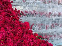 -万达广场(龙湖店)