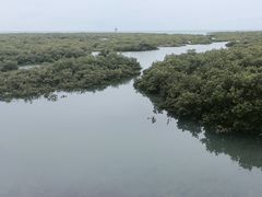 -北海金海湾红树林生态旅游区