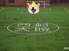 -生如夏花泰式火锅(西村黑金店)
