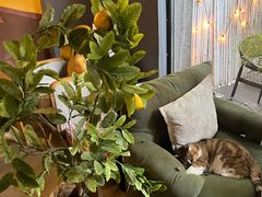 -咖法森林·咖啡  酒吧(天河店)