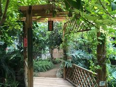 -呀路古热带植物园