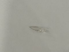 -钟记陕南菜·煎锅鱼(红专南路店)