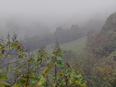 -敬亭山风景名胜区