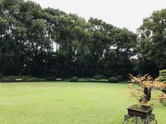 -申粤轩酒楼·三十年粤菜经典(丁香花园店)