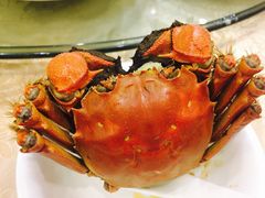 -琼菜王(南海店)
