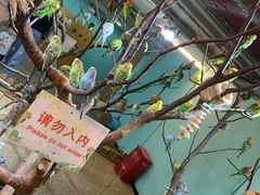 -上海大自然野生昆虫馆(东方明珠·爬宠昆虫探索中心)