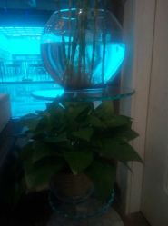 点击看大图 -芳朵美容养生SPA