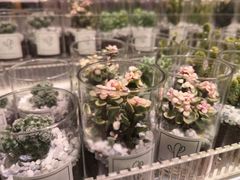 -KKV(重庆东原悦荟主力店)