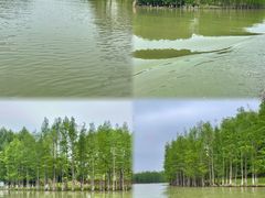 -苏州太湖国家湿地公园