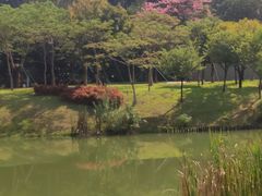 -王借岗森林公园