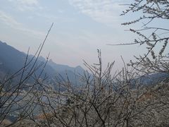 -广州市流溪河国家森林公园