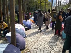 -人民公园-相亲角