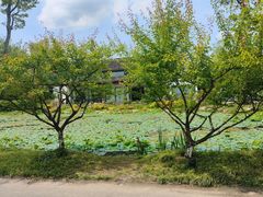 -西溪国家湿地公园