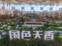 -盈香心动乐园