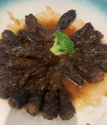 -无锡君来洲际酒店·宴会厅