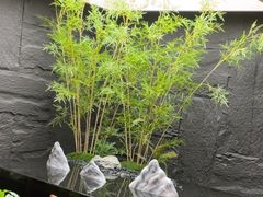 -宫七SPA·高端Massage(浦东大道店)