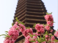 -玲珑塔公园