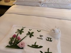 -三亚亚龙湾万豪度假酒店