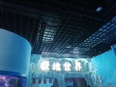 -多彩贵州城极地海洋世界